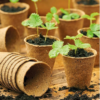 Coir Pots