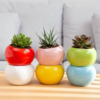Ceramic Pots