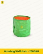 Growbag 10x10 inch - 200GSM