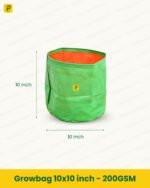 Growbag 10x10 inch - 200GSM